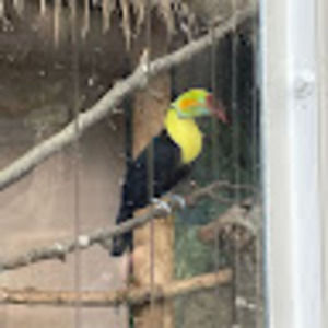 Meet your Posher, Andrew